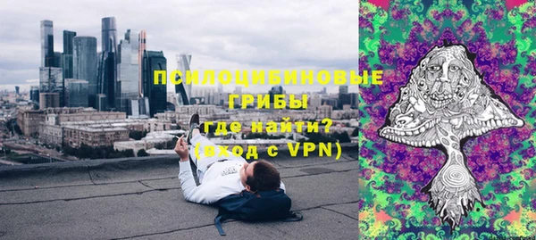 прущая мука Корсаков