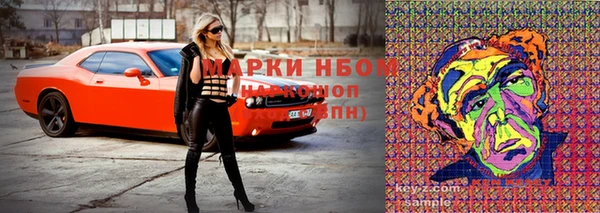 сатива Костерёво