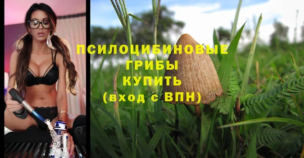 марки lsd Козельск
