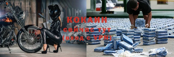 прущая мука Корсаков