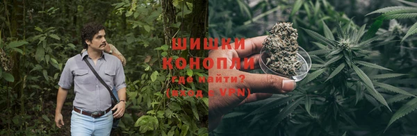 гидропоника Кодинск