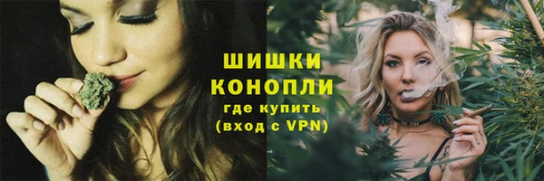 сатива Костерёво