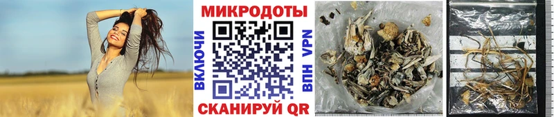 Псилоцибиновые грибы GOLDEN TEACHER  как найти наркотики  Сокол 