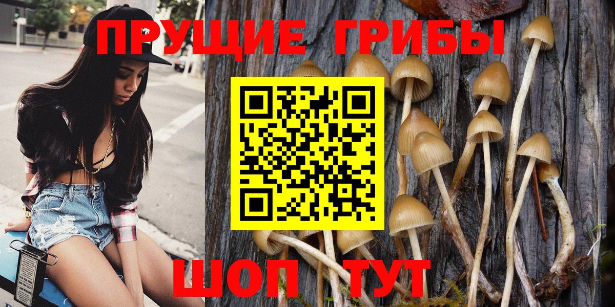 Купить наркотики  Кокаин  Вход с VPN  Меф   Гашиш  Сокол  МАРИХУАНА  МДМА 