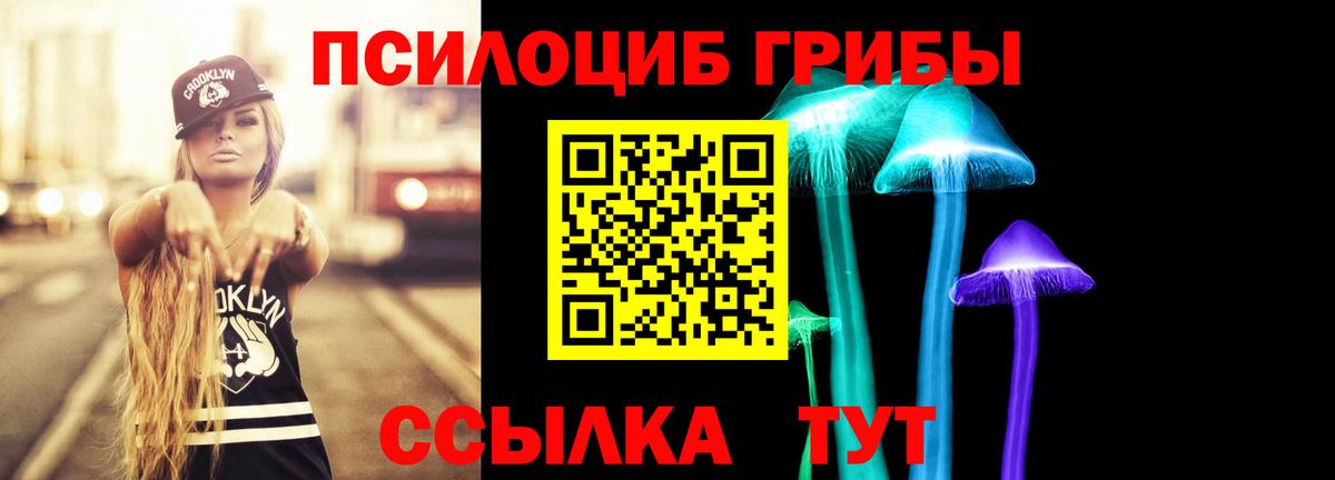 Псилоцибиновые грибы мицелий Сокол