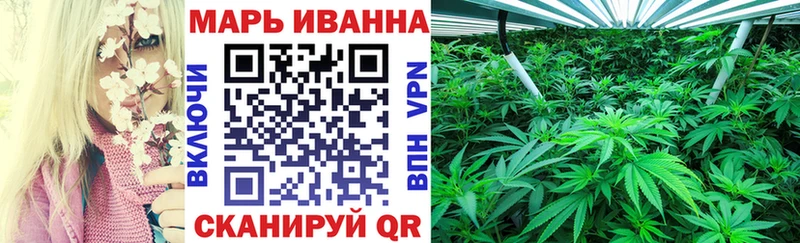 Каннабис OG Kush  OMG   Сокол 